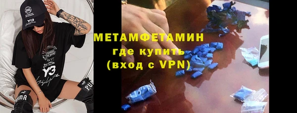 ГАЛЛЮЦИНОГЕННЫЕ ГРИБЫ Тайга