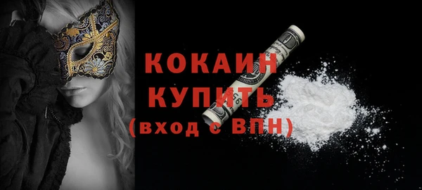 ГАЛЛЮЦИНОГЕННЫЕ ГРИБЫ Тайга