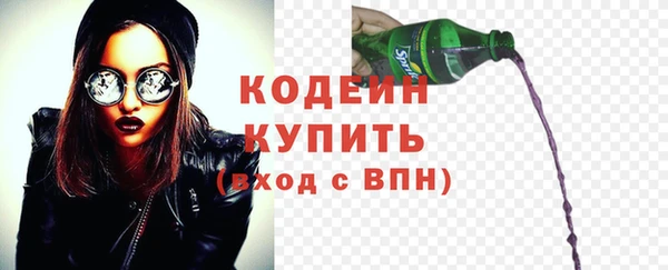 ПСИЛОЦИБИНОВЫЕ ГРИБЫ Тавда