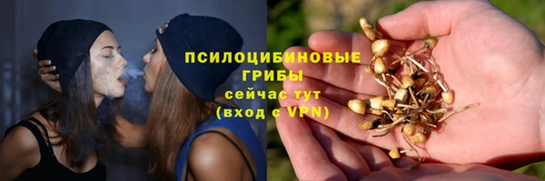 ПСИЛОЦИБИНОВЫЕ ГРИБЫ Тавда