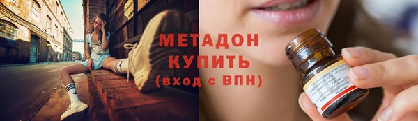 ГАЛЛЮЦИНОГЕННЫЕ ГРИБЫ Тайга