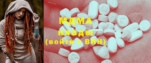 ГАЛЛЮЦИНОГЕННЫЕ ГРИБЫ Тайга