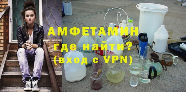 ГАЛЛЮЦИНОГЕННЫЕ ГРИБЫ Тайга