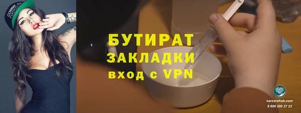 ГАЛЛЮЦИНОГЕННЫЕ ГРИБЫ Тайга