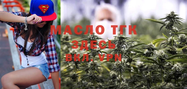 ГАЛЛЮЦИНОГЕННЫЕ ГРИБЫ Тайга