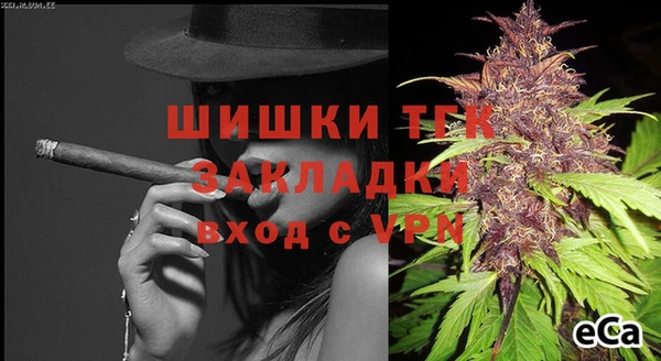 ПСИЛОЦИБИНОВЫЕ ГРИБЫ Тавда