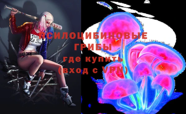 ГАЛЛЮЦИНОГЕННЫЕ ГРИБЫ Тайга