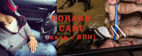 ГАЛЛЮЦИНОГЕННЫЕ ГРИБЫ Тайга